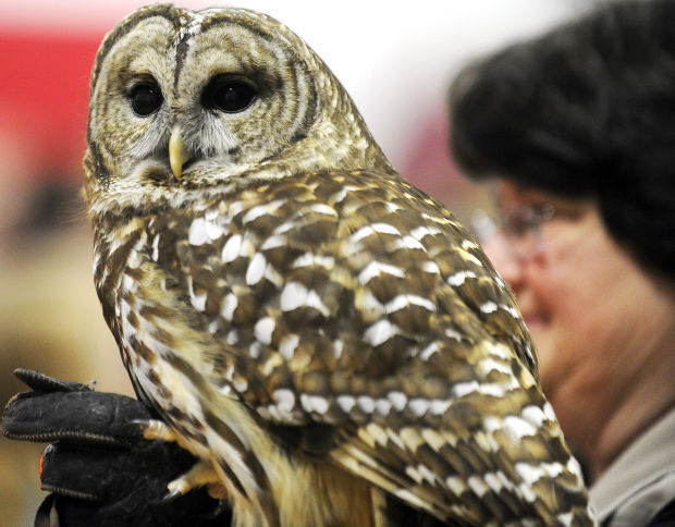 Owl_Festival_0303_07.JPG